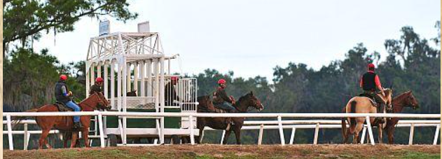 Starting gate at de Meric Stables