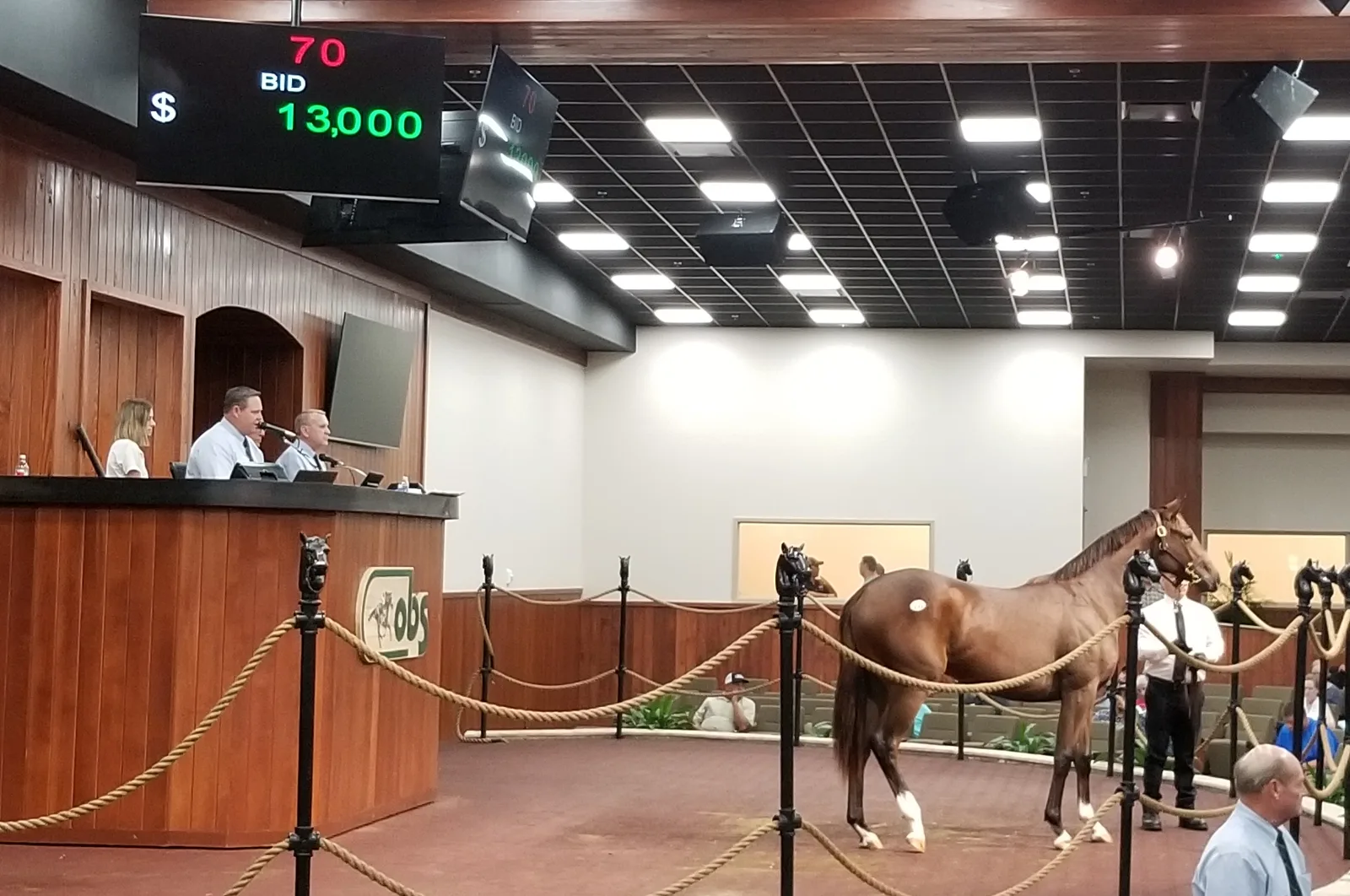 OBS Auction