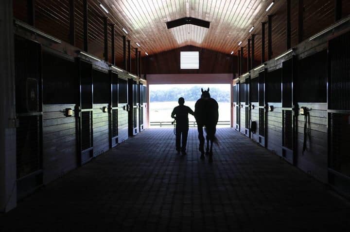 Person walking a horse down a stable aisle toward sunlight