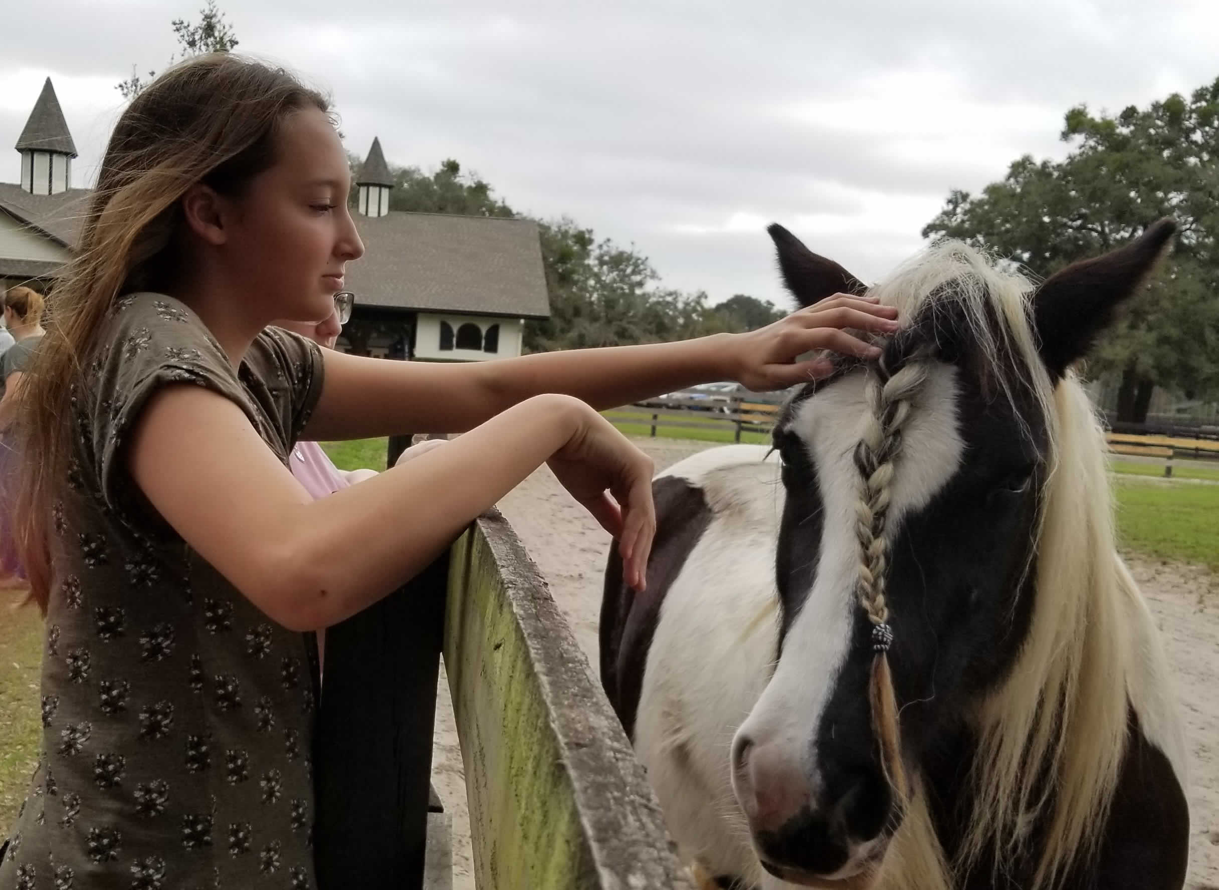 Gentle and lovely Gypsy Vanner